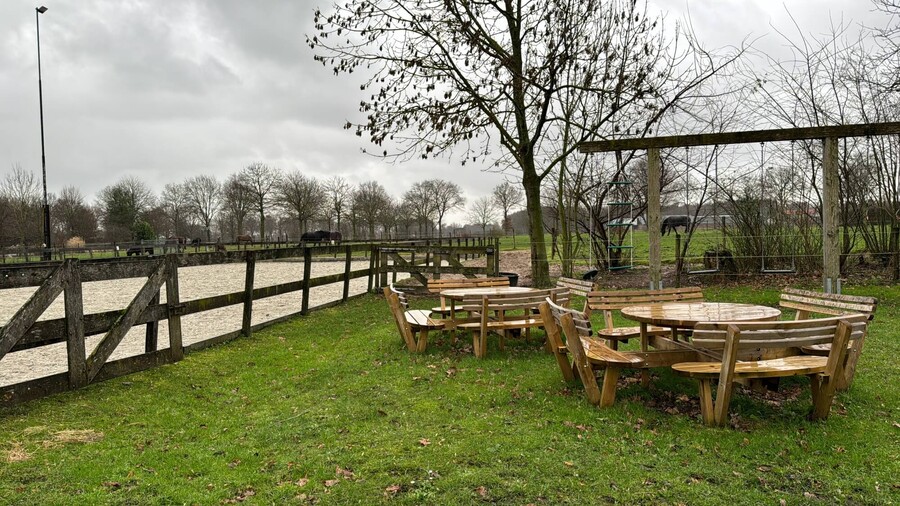 Effectvolle interactie ervaren aan paarden