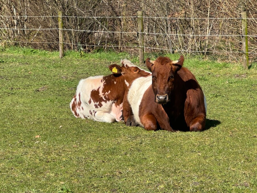 Huisregels Gagelhoeve